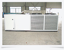 恒溫恒濕一體機